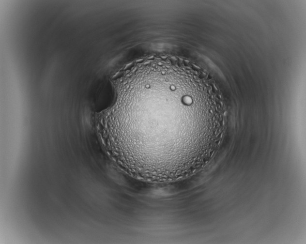 X0000115820569200911201447