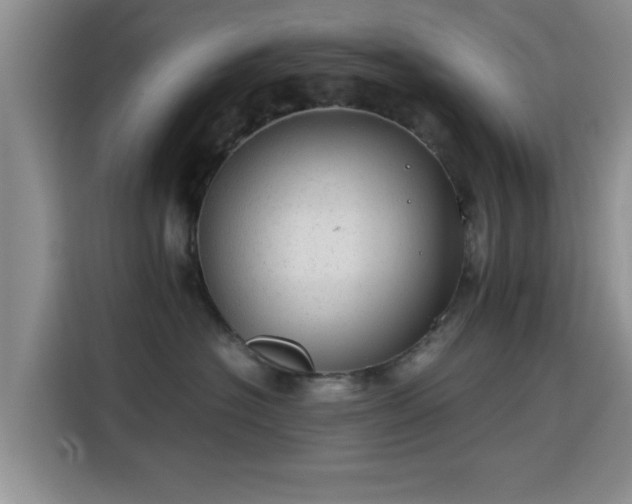 X0000115820574200911201447