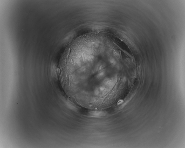 X0000115820575200911201447