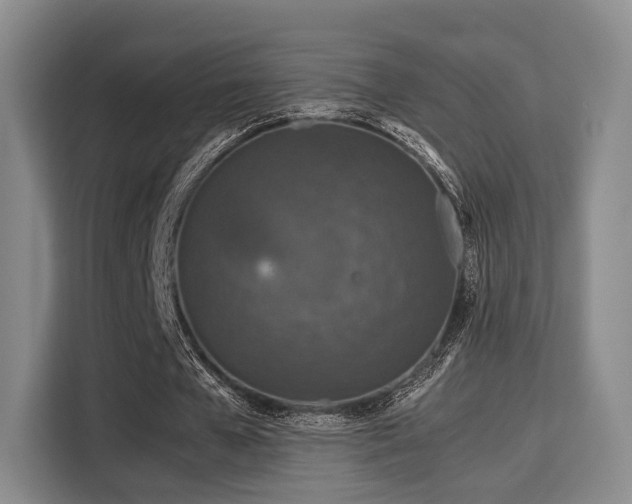 X0000115820577200911201447