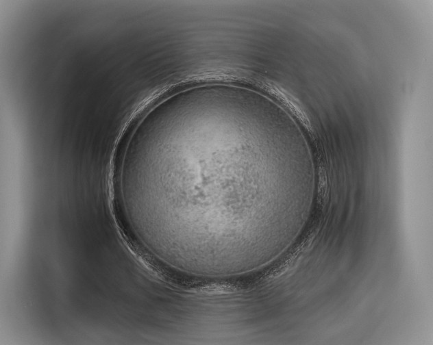 X0000115820578200911201447