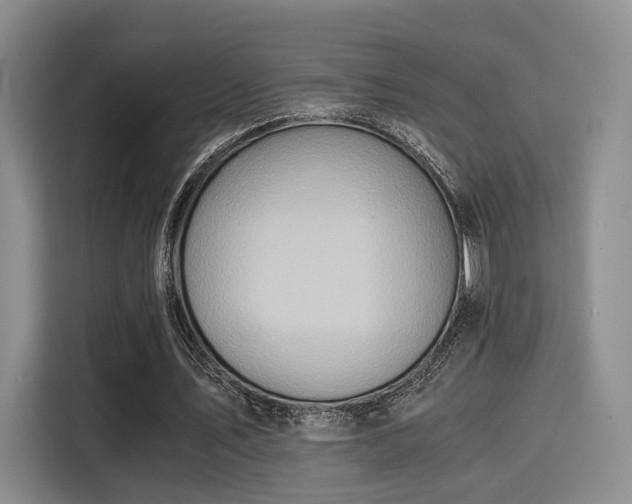 X0000115820579200911201447