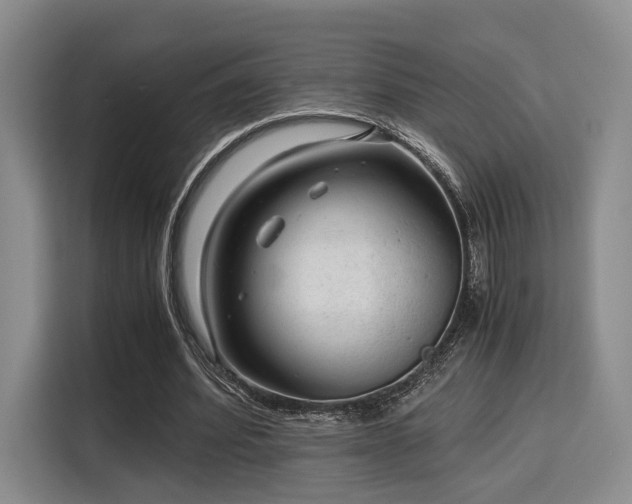 X0000115820580200911201447