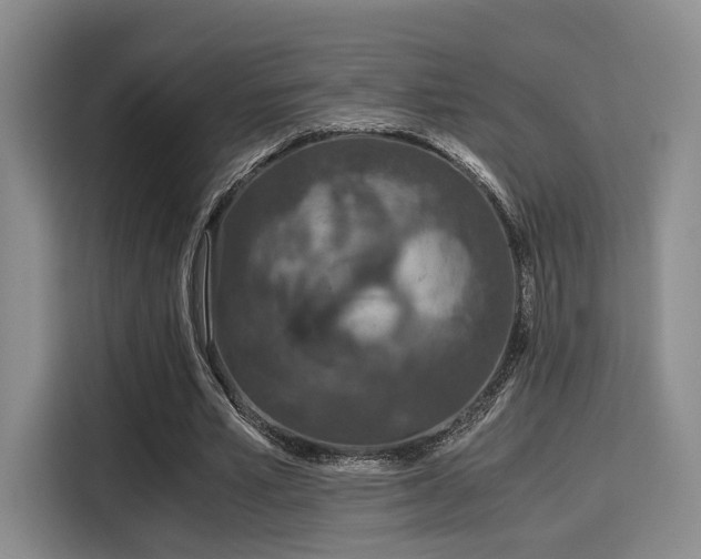 X0000115820581200911201447