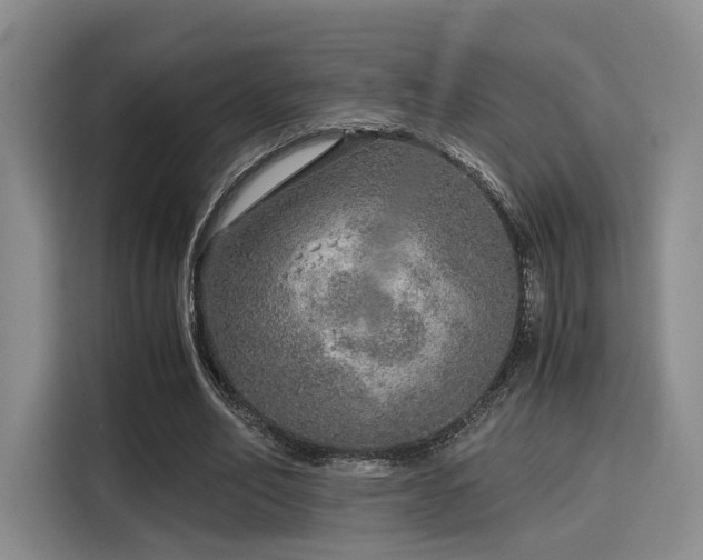 X0000115820582200911201447