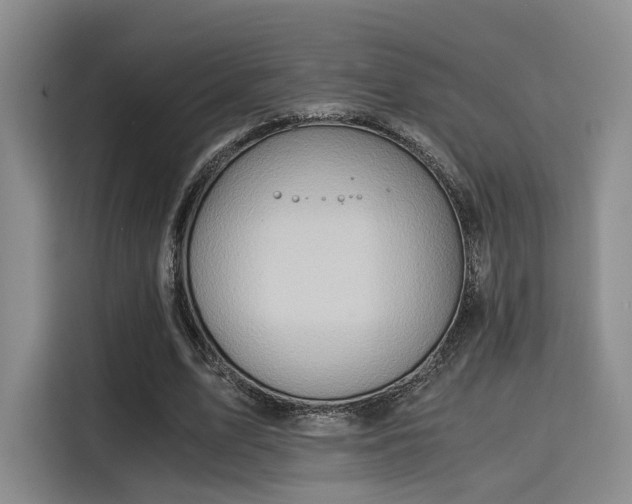 X0000115820583200911201447