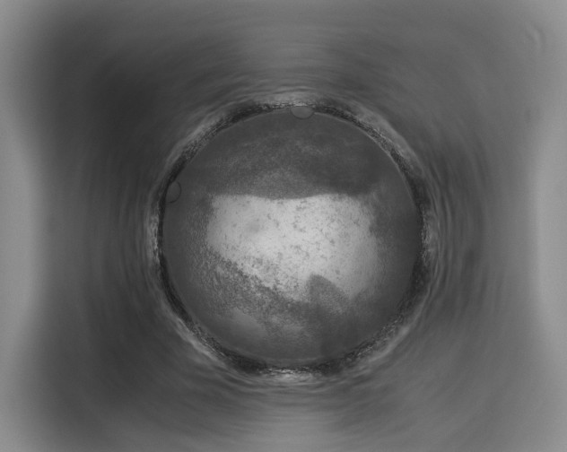 X0000115820585200911201447