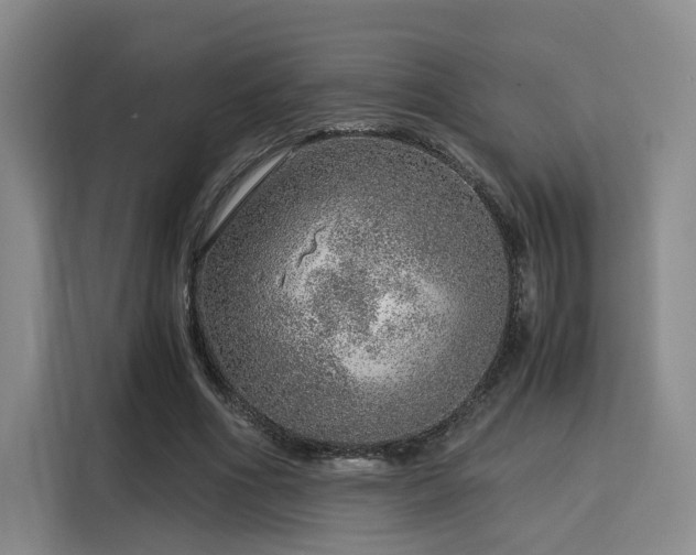 X0000115820586200911201447