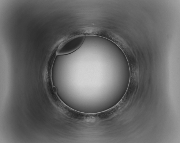 X0000115820587200911201447