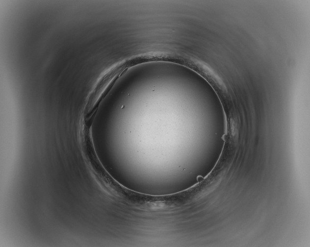 X0000115820588200911201447