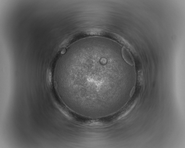 X0000115820589200911201447