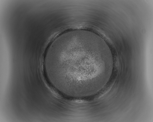 X0000115820590200911201447