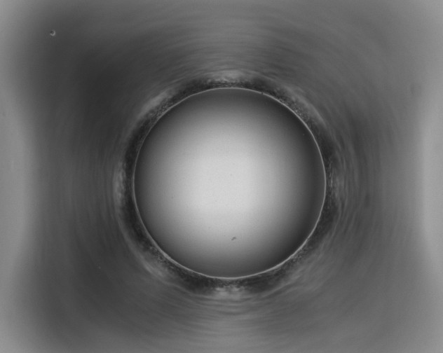 X0000115820591200911201446