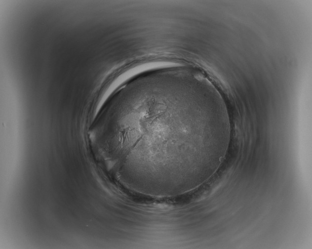 X0000115820592200911201446