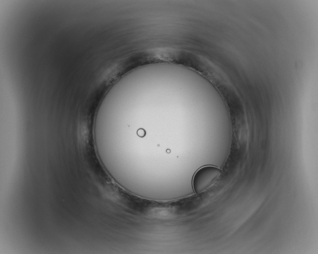 X0000115820595200911201446