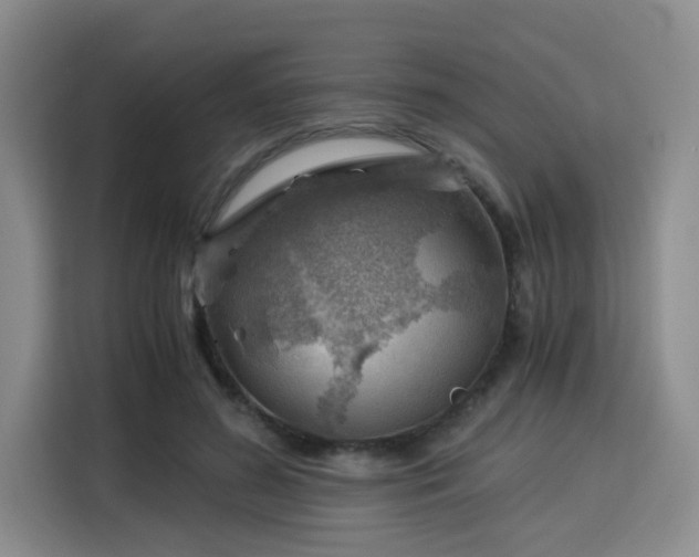 X0000115820596200911201446