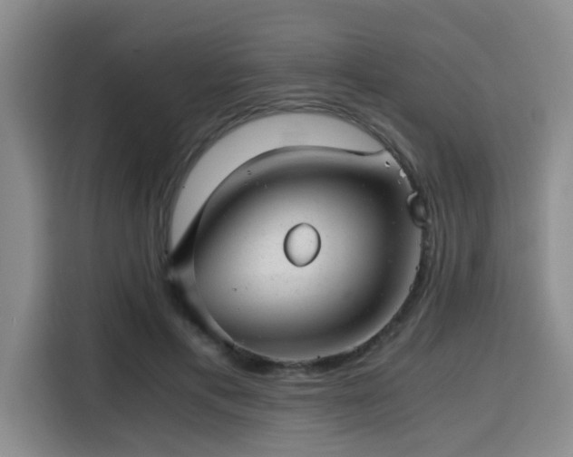 X0000115820597200911201446