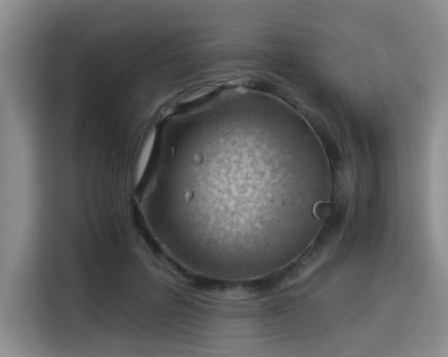 X0000115820600200911201446