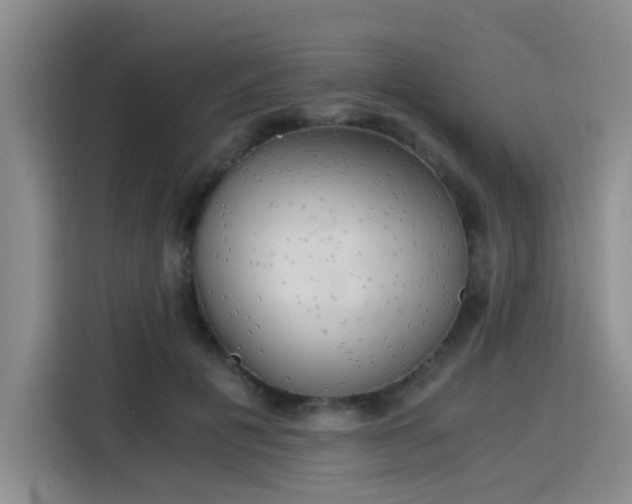 X0000115820601200911201446