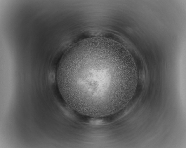 X0000115820602200911201446