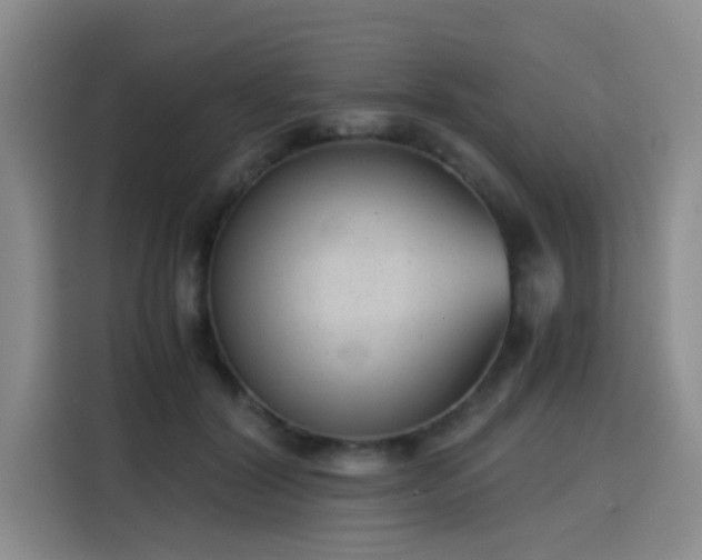 X0000115820604200911201446