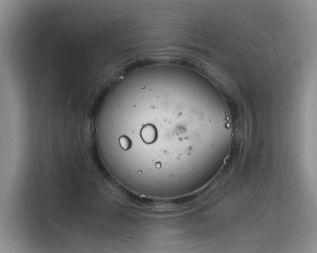 X0000115820605200911201446