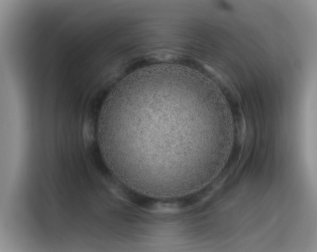 X0000115820606200911201446