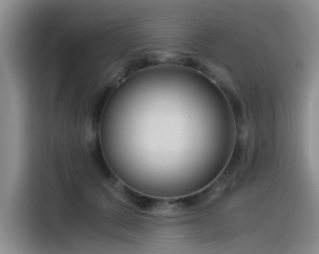 X0000115820607200911201446