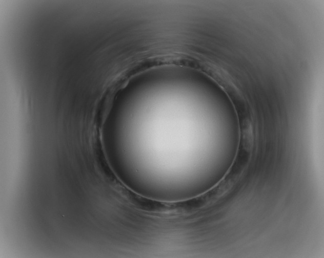 X0000115820608200911201446