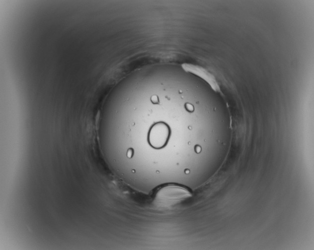 X0000115820609200911201446