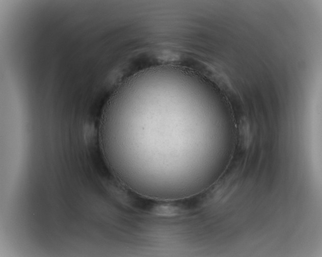 X0000115820614200911201446