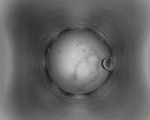 X0000115820617200911201446