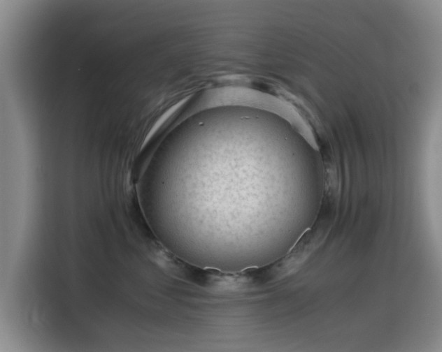 X0000115820621200911201446