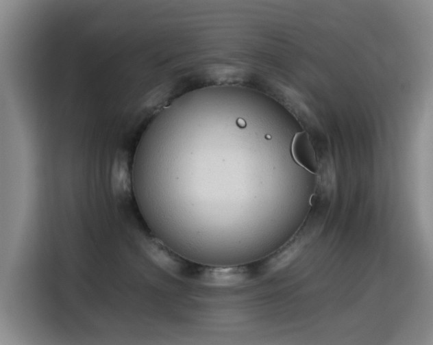 X0000115820622200911201446