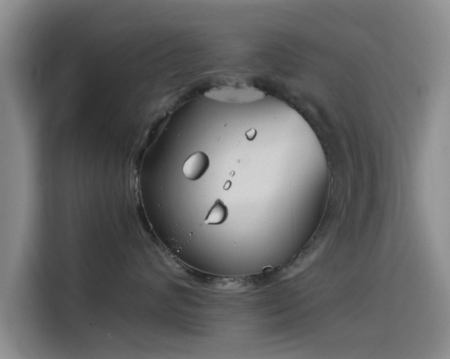 X0000115820624200911201446