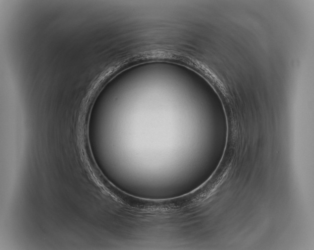 X0000115820625200911201445