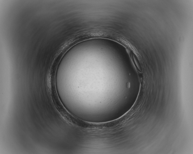 X0000115820626200911201445