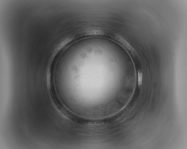 X0000115820627200911201445