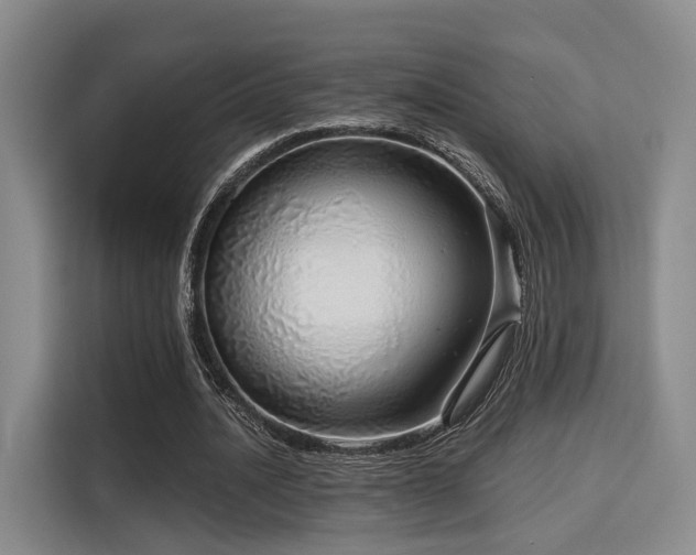 X0000115820628200911201445