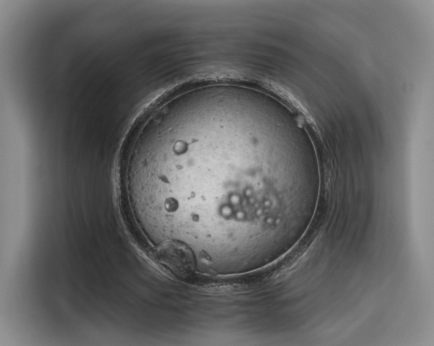 X0000115820629200911201445