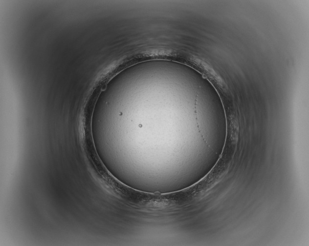 X0000115820631200911201446