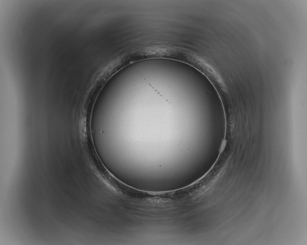 X0000115820633200911201446