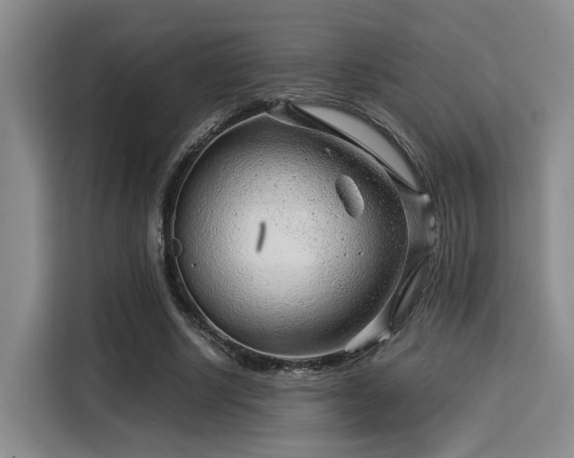 X0000115820634200911201446