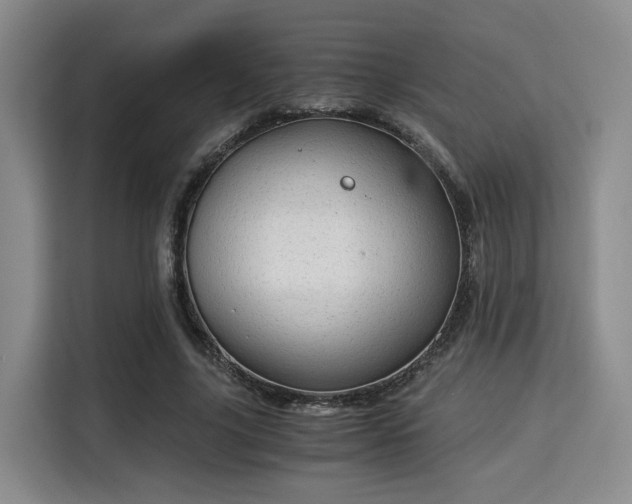 X0000115820635200911201446