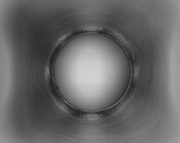 X0000115820636200911201446