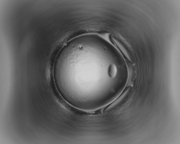 X0000115820637200911201446