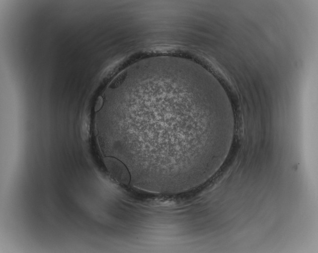 X0000115820640200911201446