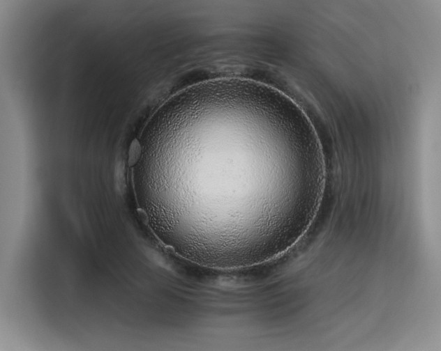 X0000115820641200911201446