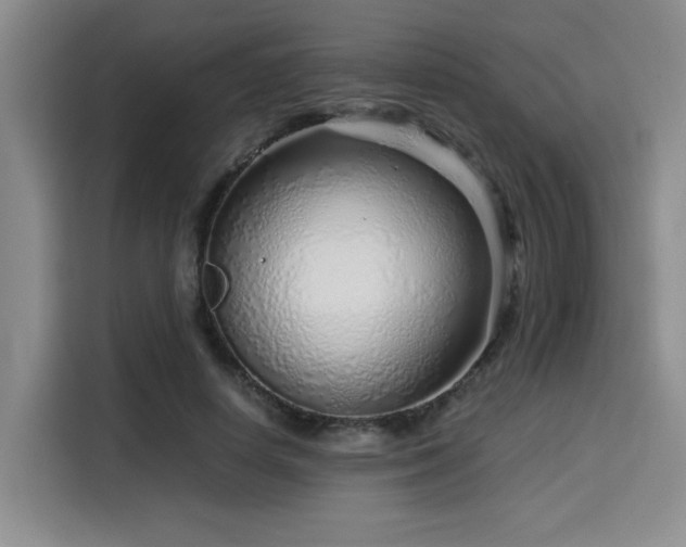 X0000115820642200911201446