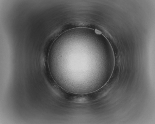 X0000115820643200911201446